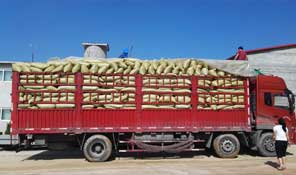 專(zhuān)屬物流運(yùn)輸,售后保障 專(zhuān)屬物流運(yùn)輸,售后保障